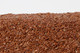 Flax Seeds