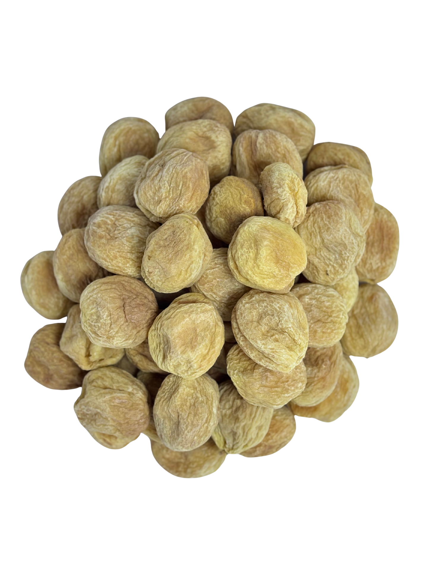 Apricot Bold Premium