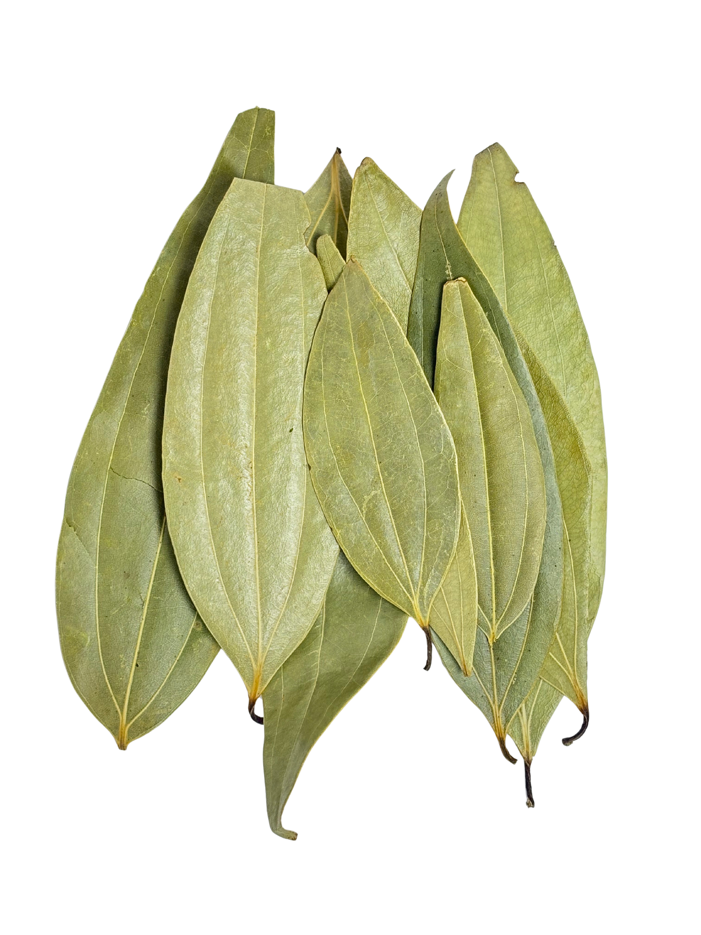 Bay Leaf