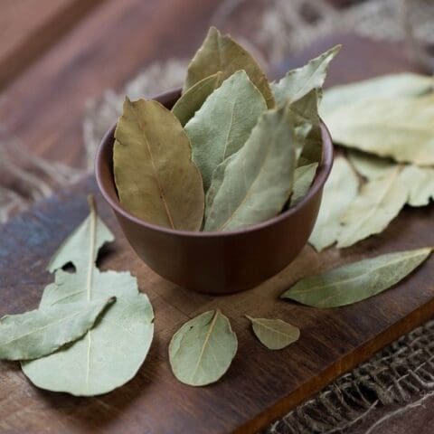 Bay Leaf