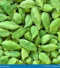 Green Cardamon