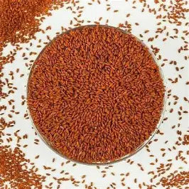 Aliv Seeds