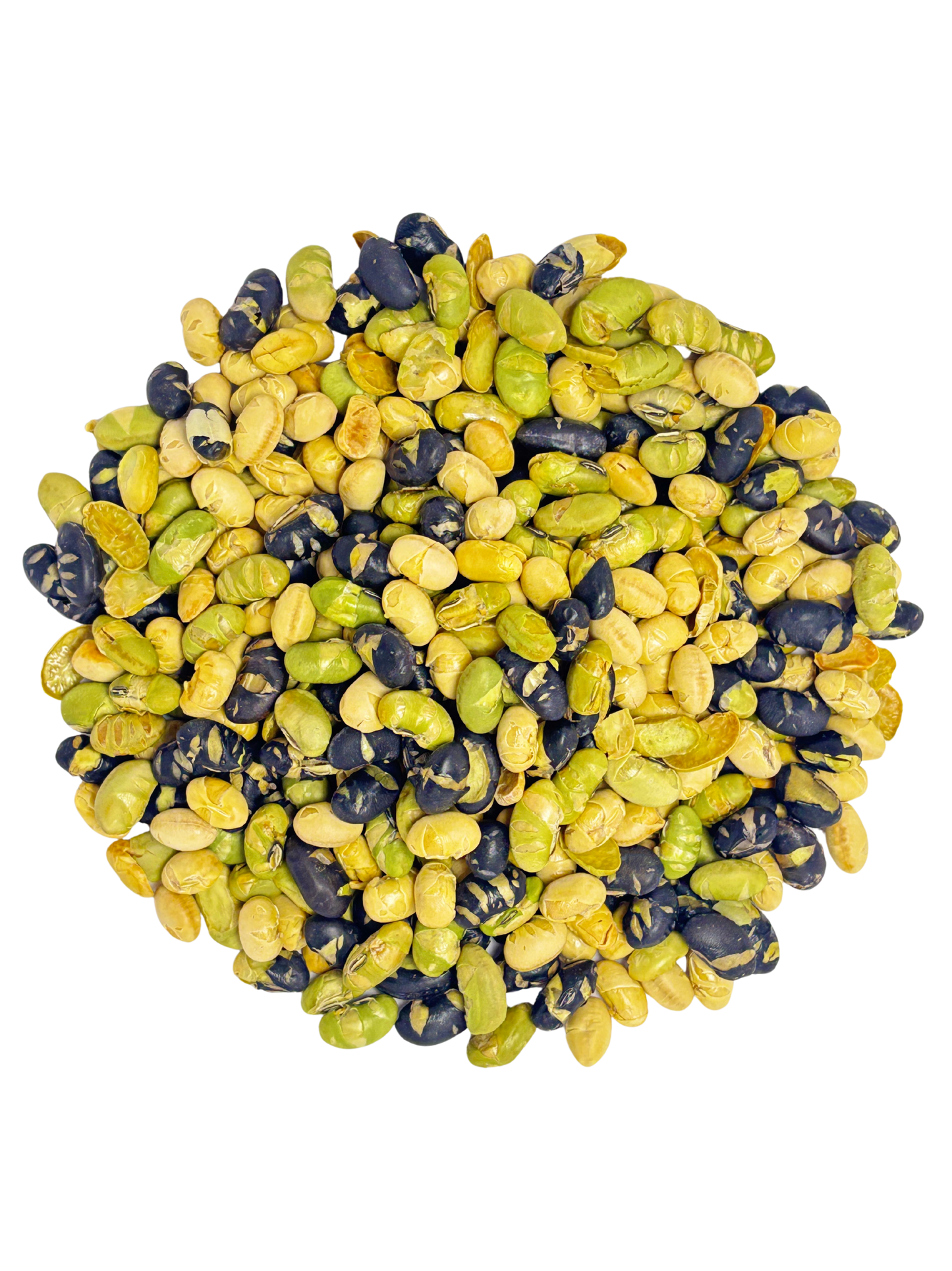 Protein Beans