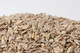 Sunflower Seeds