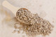 Sunflower Seeds
